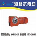 Helical Worm Reducer 1