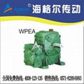 WPEA Worm Gear Speed Reducer