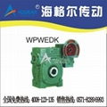 WPEDKA、FCEDKA型孔式双极蜗轮蜗杆减速机 1