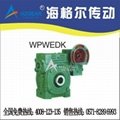 WPEDKA、FCEDKA型孔式双极蜗轮蜗杆减速机