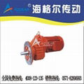 Helical geared  motor RXF Series 1