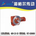 Helical Worm Reducer 1