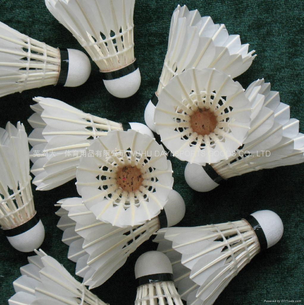 DAYI-bisai Grade High-quality goose feather badminton shuttlecock 4