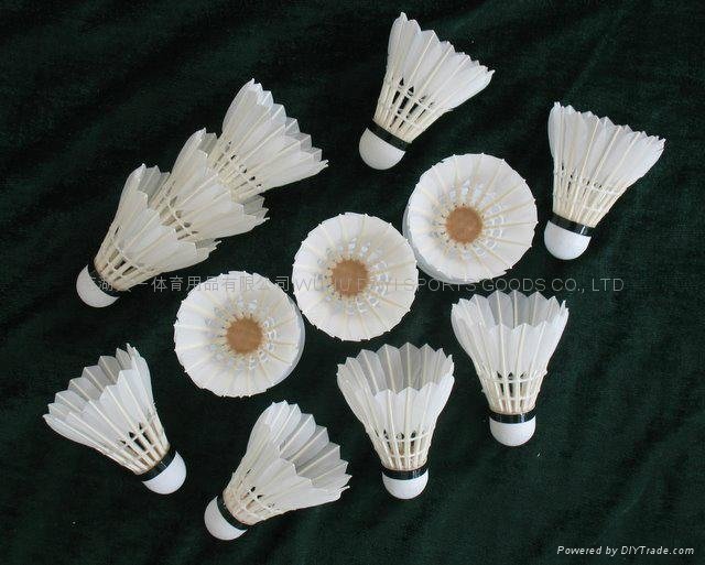 DAYI-Xunlian Grade Goose Feather Badminton Shuttlecocks 3