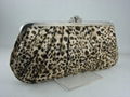 Leopard Collection 2 1