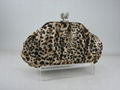 Leopard Collection 2 2