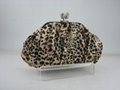 Leopard Collection 2