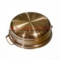 S/S thickened coconut chicken hot pot Available gas stove & induction cooker