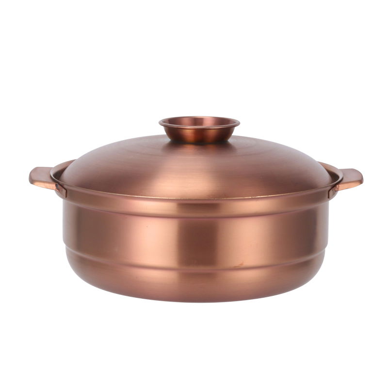 Stainless steel Coconut chicken hot pot gas stove induction cooker