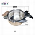 Stainless steel fish shape stock pot w/glass lid for Restaurant Hotel supplies 7