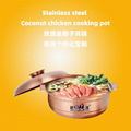 Stainless steel Coconut chicken hot pot gas stove induction cooker universal