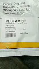 PA1010 VESTAMID Terra DS20