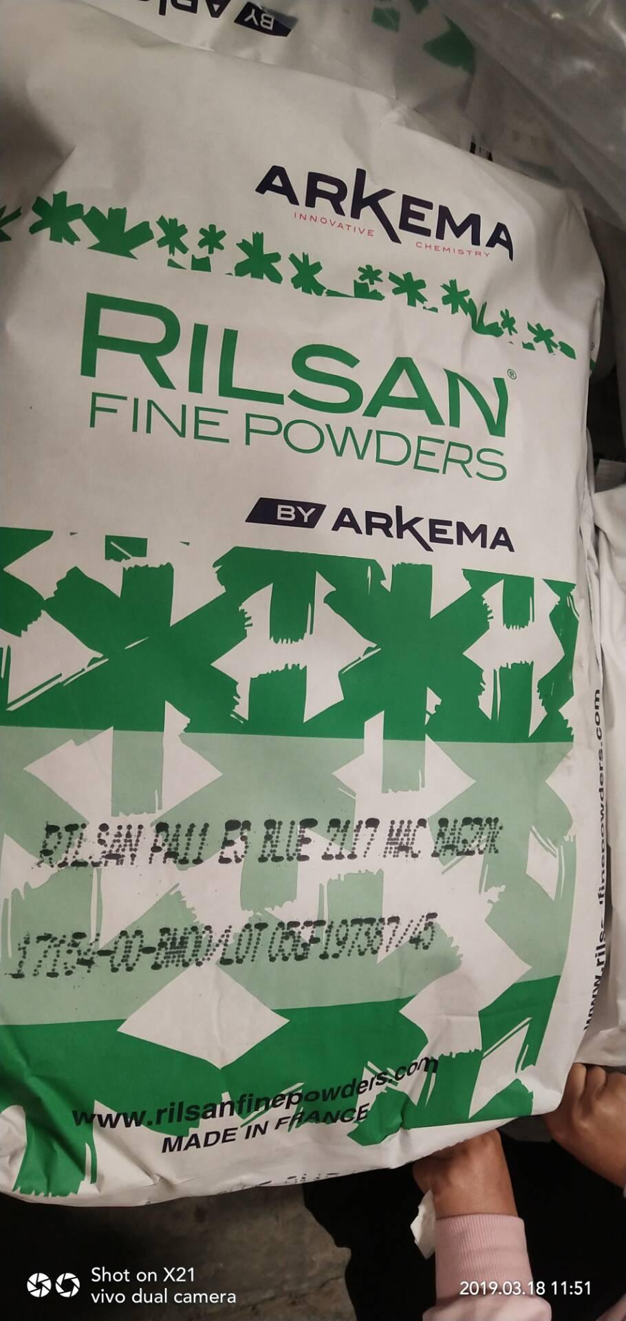  3D printing PA11 powders Rilsan Invent 