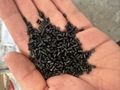 FDA BLACK= 10/5358,CD7068