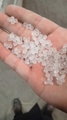 Eastoflex P1023PL (Amorphous Polyolefins)