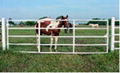 Corral gate