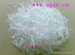 Agar strip  4CM