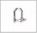 Stainless steel EUROPE  SHACKLES 3