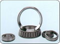 tapered roller bearings