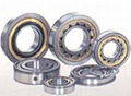 cylindrial roller bearings