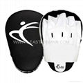 Focus Pad Curved or Punching Mitts. 