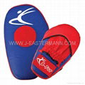 Focus Pad Curved or Punching Mitts. 