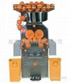 citrus Juicer 2