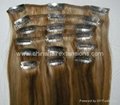 Clip in Hair Extension 008 1