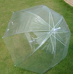 Transparent umbrella