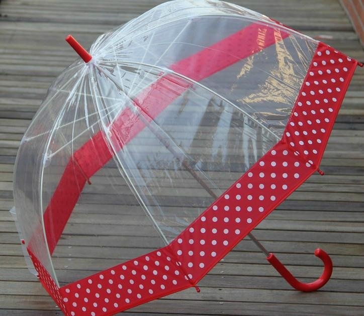Transparent umbrella 5