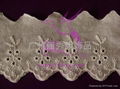 cotton lace 5