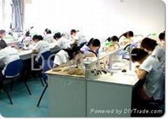 深圳市戴维莱传感技术开发有限公司 深圳市戴维莱传感技术开发有限公司