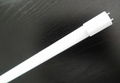 2 feet LED T8 Tube lamp 1