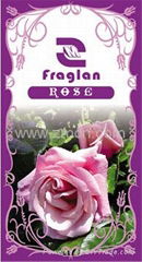 Fragrance Oil