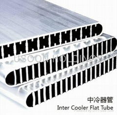 Micro channel aluminum flat tube