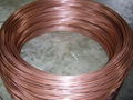 capillary copper pipe 7