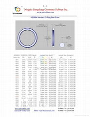  ASTM C564 O RING