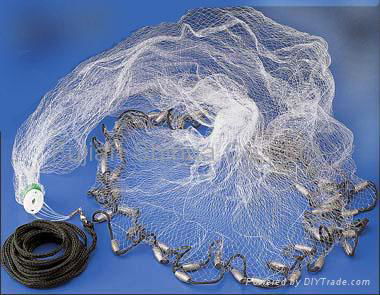 Cast Nets 2