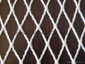 Bird Nets(Netting) (Hot Product - 1*)