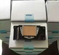 Epson dx5 printhead