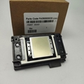 Epson xp600 print head