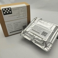 Epson I1600-A1/E1/U1 print head 2