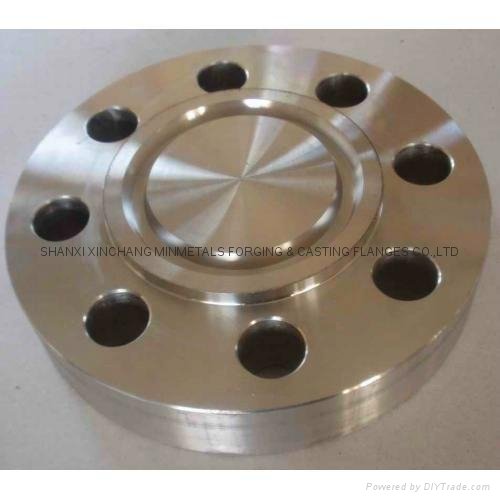 AISI 304L plate forged flange DN15-DN400