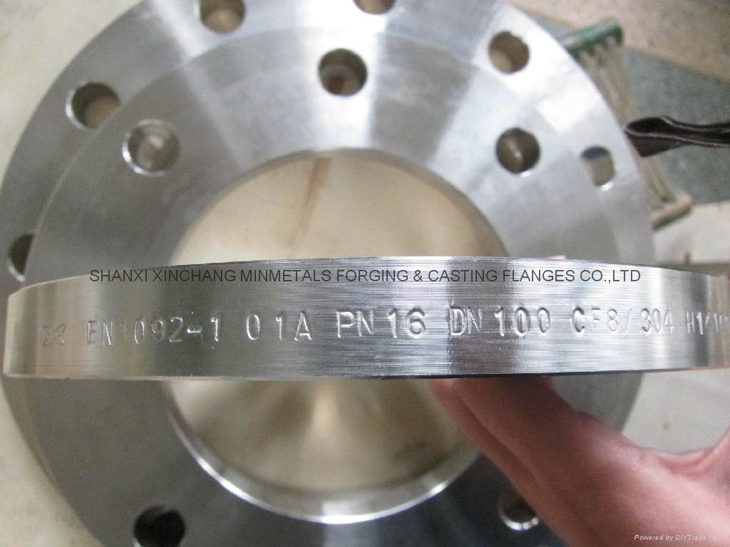 DN15 stainless steel 304/304L plate falnge GOST FLANGE 