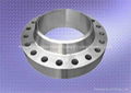 ANSI/ASME B 16.47 B(API605)W/NRF FLANGES  