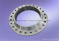 ANSI/ASME B16.47 A (MSS-SP44)WELDING NECK FLANGE