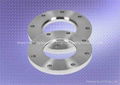 STAINLESS STEEL PLATE FLANGE