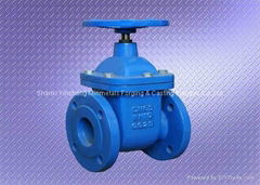 CASTING IRON GATE VALVE