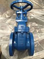 DIN 3352 F4 F5 GATE VALVE GG25