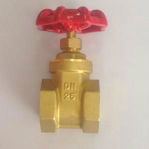 BRASS GATE VALVE